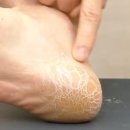 딱풀통신 이미지