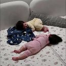 쿠마 | 아이들 편한 밤 루틴 추천, 유기농 흑하랑) 쿠마랑 흑하랑 후기