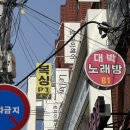 거북미용실 | 성수동 미용실 추천: 르데이헤어 성수 톤다운 방문후기