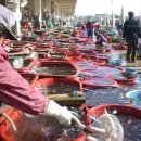 대게풍년 이미지