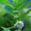 킨더스쿨 이미지