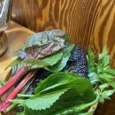 두메골쌈밥 이미지