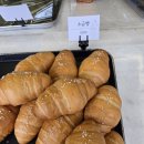 정글펜션 | " 친구들과 함께 1박2일 양평여행 1편" '라테라스펜션','콘크리트정글' 후기 및 리뷰