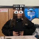 닭발아놀자 네이버블로그