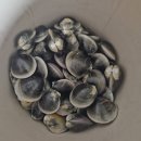 송석리 | 서천 카라반 서천오션플레이스와 함께 캠핑부터 갯벌체험까지 완벽한 하루