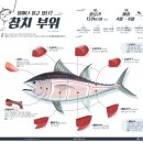 진참치 이미지
