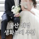 이목화 | [울산 웨딩촬영 부케 추천] 웨딩 생화 부케 후기 | 구영리 꽃집 추천 이목화