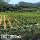 여주-0417 이미지