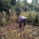 수촌농장 이미지