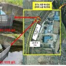 국민연어 이미지