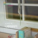 나무이야기 협동조합 이미지