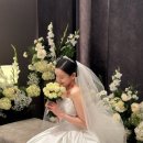 로젤리스튜디오