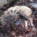 김중환농장 이미지