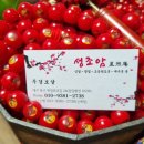 성조암 - 594 | 북대구점집 추천 I 유학추천으로 아들의 미래를 바꿔준 성조암무경보살