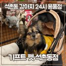 기프트 펫 이미지