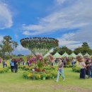 빛(꽃)의정원 이미지