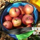 기범농장 이미지