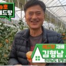 김형남농장 네이버블로그