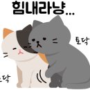 성호맨션 이미지