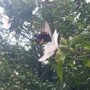 구평동-31 이미지