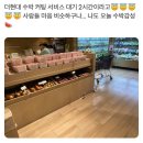 현대서비스 이미지