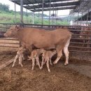 이성우농장 이미지