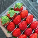 삼덕공원약국 이미지