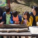 국립검마산자연휴양림 이미지