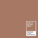 (주)모카 이미지