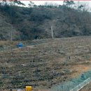 공검면 화동리 이미지