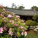 김봉호가옥 이미지