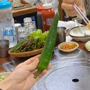 금자네수산 | 역곡 횟집은 금자네수산 여기로 정착
