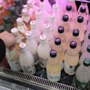 지에스25 용인백암점 | 용인 막걸리 감성막걸리 후기