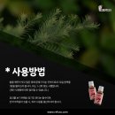 레푸스 범어점 이미지