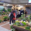 전국야생화전시회 이미지