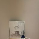 오르에스테틱 이미지