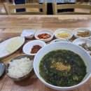 제주2일차 교래자연휴양림 큰지그리오름 이미지