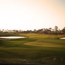 오렌지골프 이미지