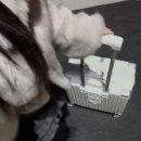 예지서림 | 빛은 바래나요 지쳐가는가요