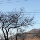 스완레스토랑 이미지