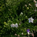 오금2리 이미지