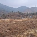 신니면사무소 이미지