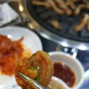 불막열삼 이미지