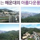 해운대 센텀트루엘 1, 2단지 이미지