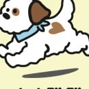 댕댕스파 이미지