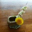 양지바른정비마당 이미지