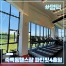 파인핏 4호점 | [평택] 죽백동헬스장 맞춤 재활PT 파인핏4호점