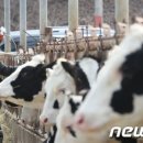 대성축산1농장 이미지