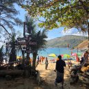 (온라인)쓰담쓰담 힐링 타로 | [태국] 푸켓여행3일차 푸켓가봐야할 곳- 타이거파크/프라이빗 인스타핫플투어/카타야시장투어