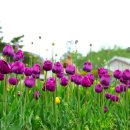 경주서한타운 이미지